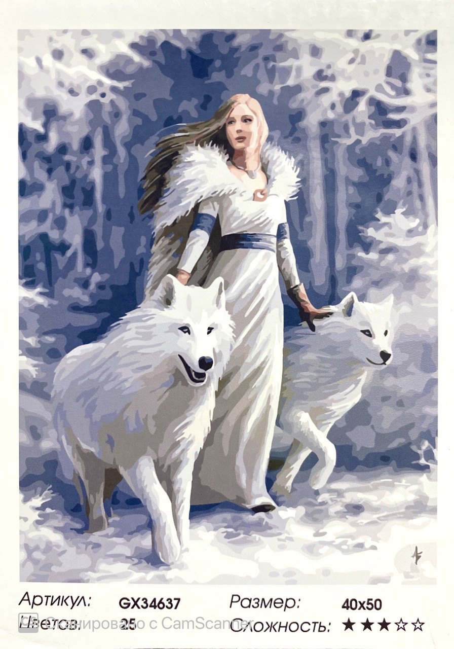 Картина по номерам " Девушка с волками" 50*40см