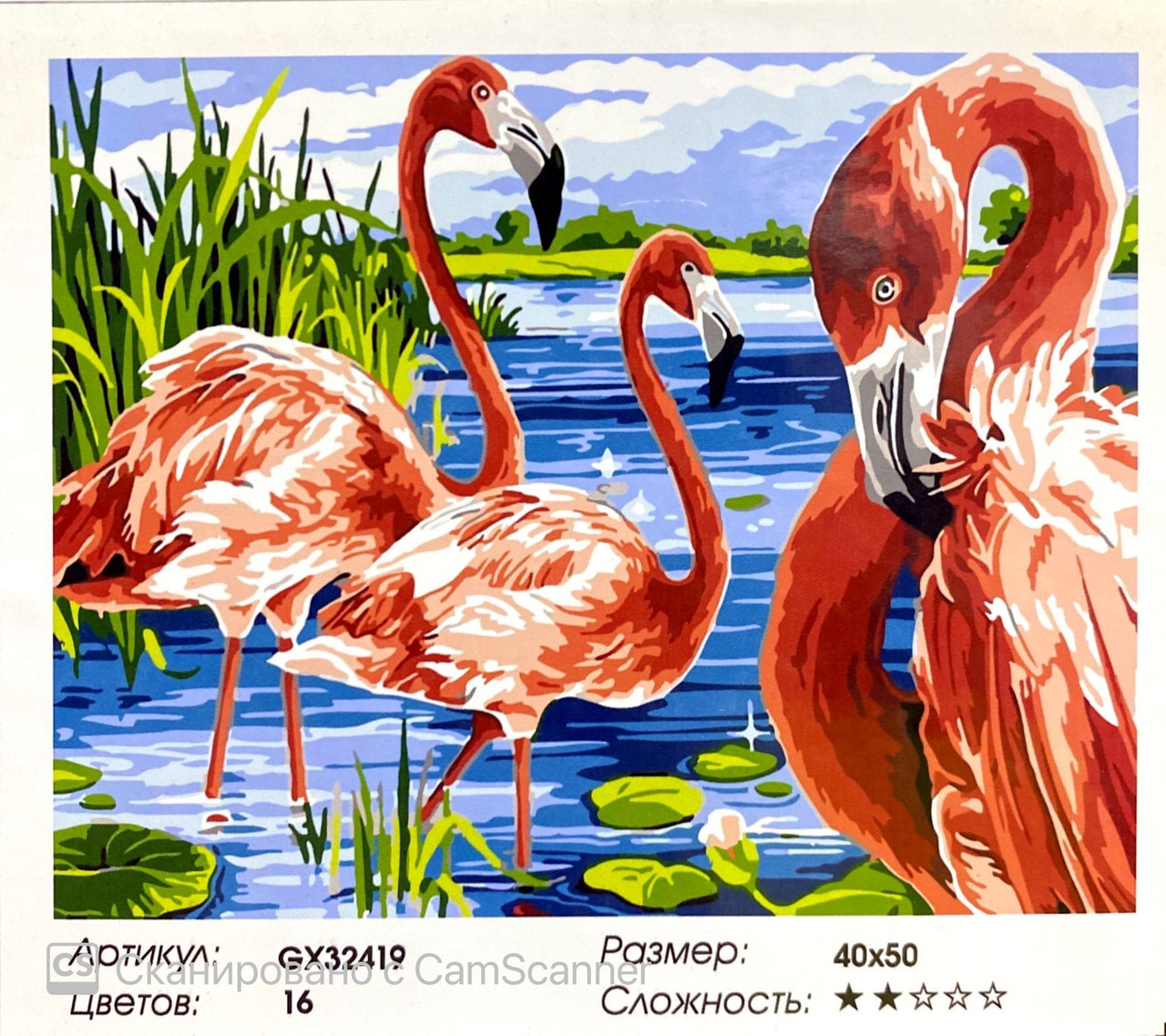 Картина по номерам " Фламинго" 50*40см