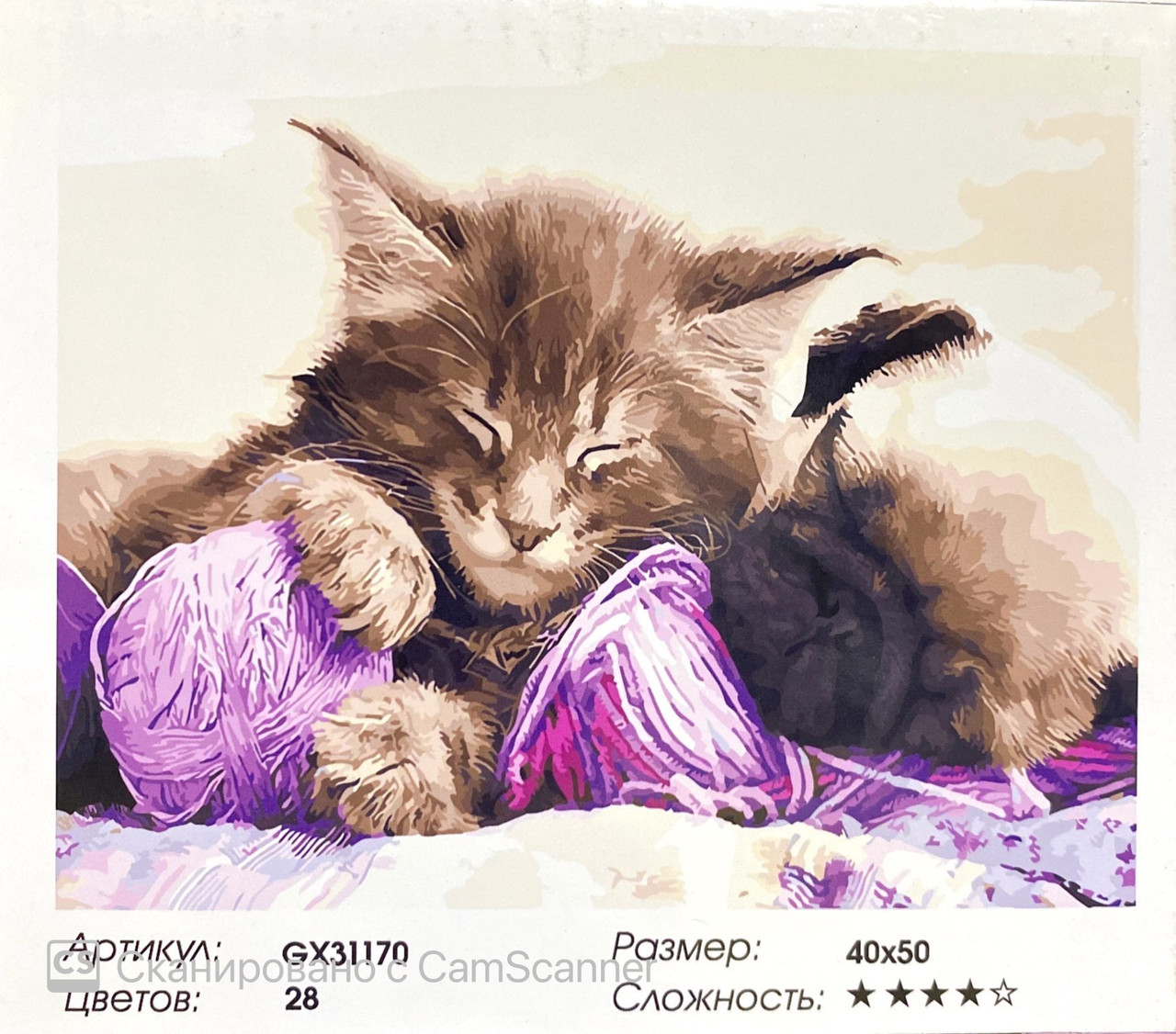 Картина по номерам " Котенок и щенок " 50*40см