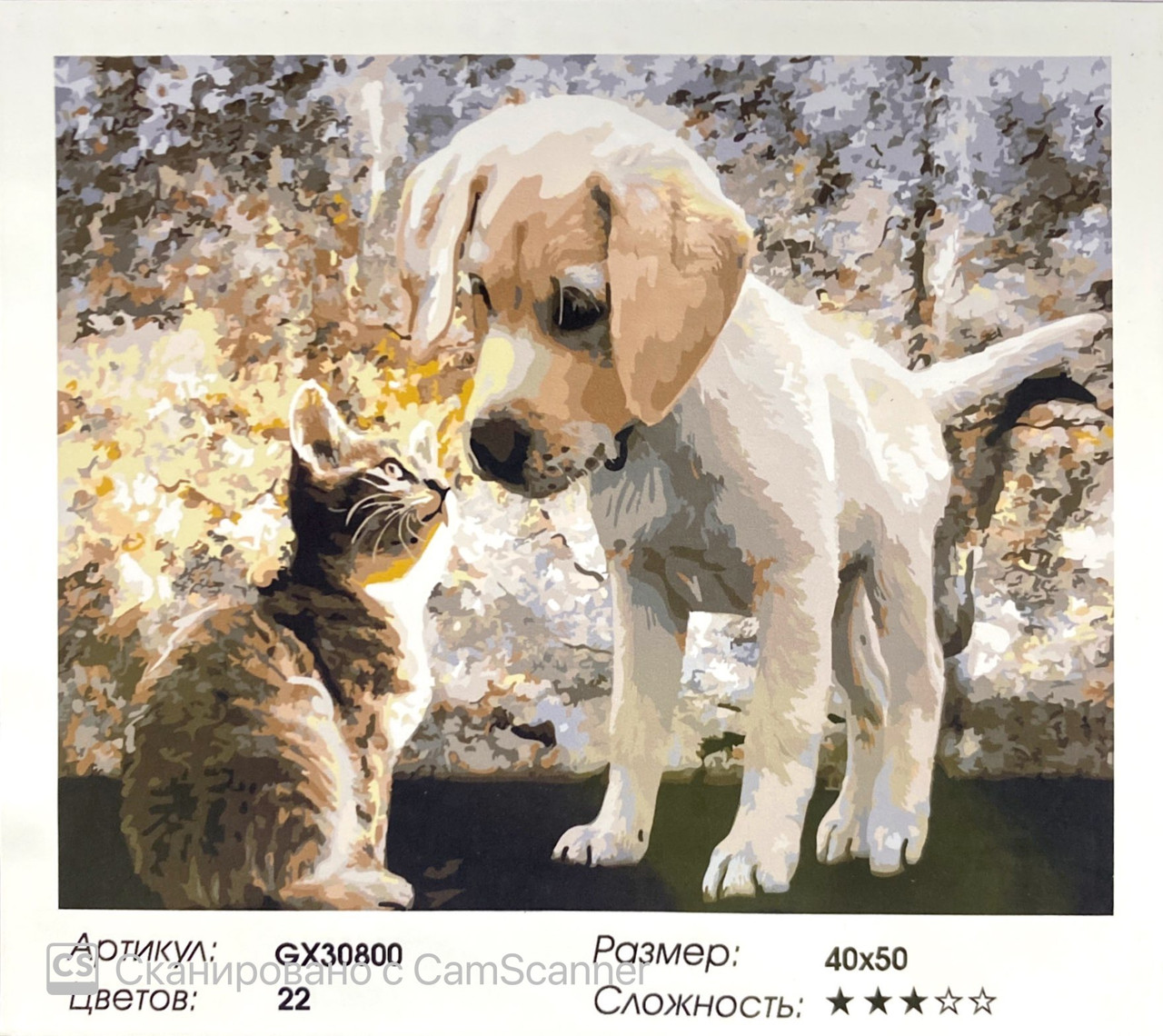 Картина по номерам " Котенок и щенок " 50*40см
