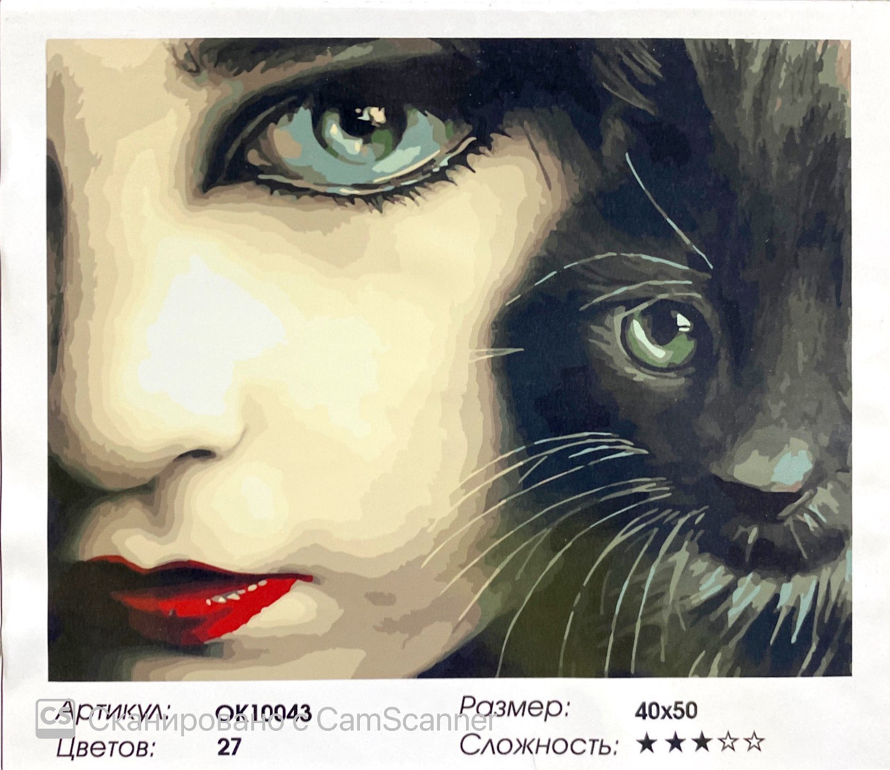 Картина по номерам " Девушка с котом" 50*40см - фото 1 - id-p85890420