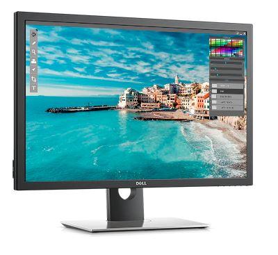 Монитор Dell UP3017 (210-AXWC)