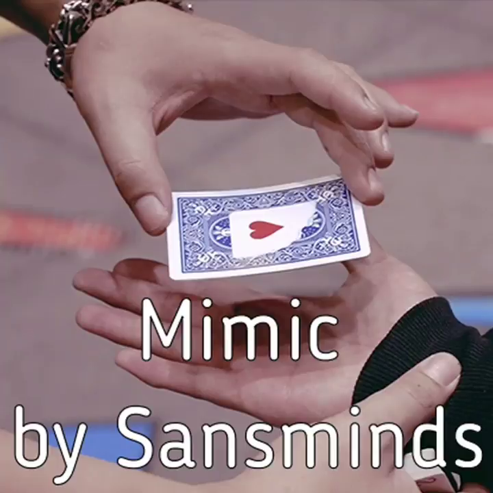 Mimic by Sansminds