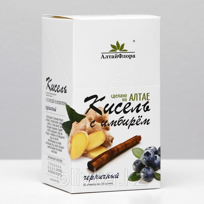 Кисель черничный с корицей и имбирем (блок)20 г