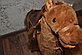 PITUSO FANDANGO Качалка-Лошадка с колесами коричневая с длинной гривой, фото 4
