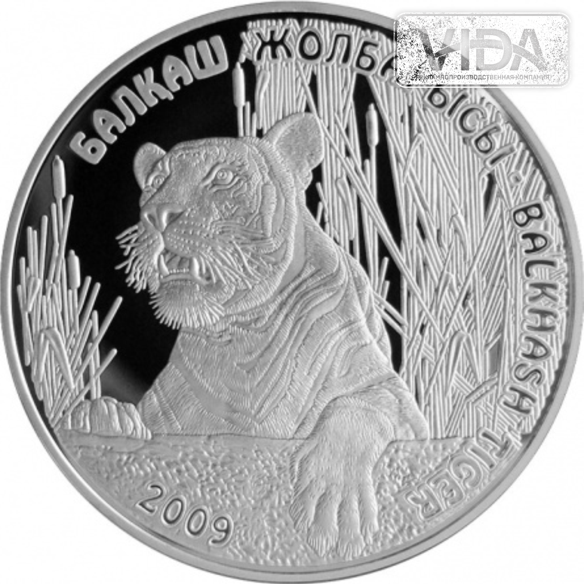 Балхашский тигр - 500 тенге (Серебро 925)