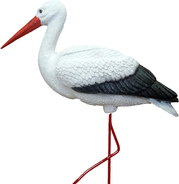 Үлкен мүшесі есекке кіреді