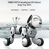 Интерактивный робот-собака RobotDog Пультовод, фото 6