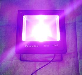 Фитосветильник красно-синий IP65 для теплиц оранжерей подвалов