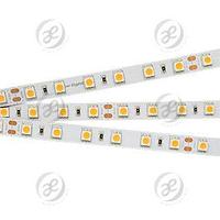 Лента RT 2-5000 24V White6000 2x (5060, 300 LED, LUX)