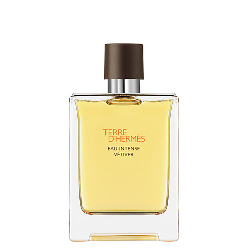 Парфюм Hermès Terre d'Hermès Eau Intense Vétiver 100ml (Оригинал-Франция)