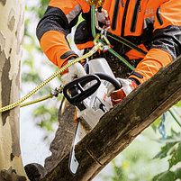 Аккумуляторная пила STIHL MSA 161 T (с аккумулятором и зарядкой), фото 2