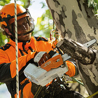 Аккумуляторная пила STIHL MSA 161 T (без аккумулятора и зарядного устройства), фото 4