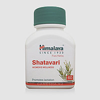 Шатавари, лечение репродуктивной системы, 60 таб, производитель Хималая