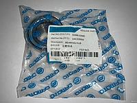 Жаман және есек