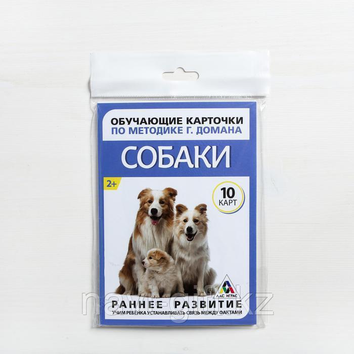 Обучающие карточки по методике Г. Домана «Собаки», 10 карт, А6 - фото 2 - id-p86415346