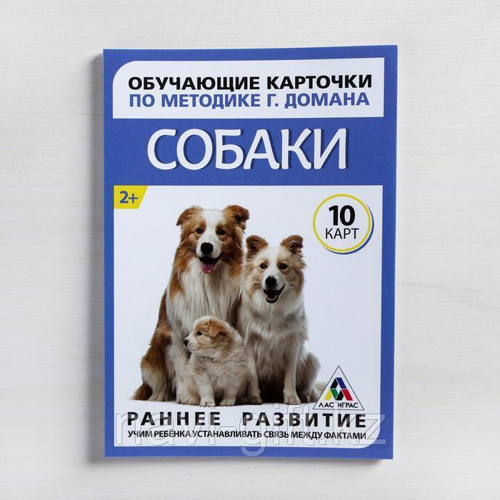 Обучающие карточки по методике Г. Домана «Собаки», 10 карт, А6 - фото 3 - id-p86415346