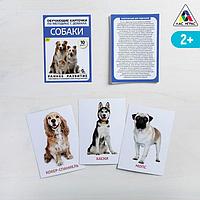 Обучающие карточки по методике Г. Домана «Собаки», 10 карт, А6, фото 1