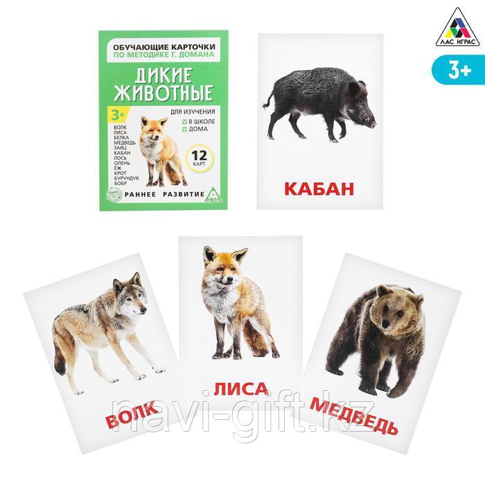 Обучающие карточки по методике Г. Домана «Дикие животные», 12 карт, А6 - фото 1 - id-p86421786
