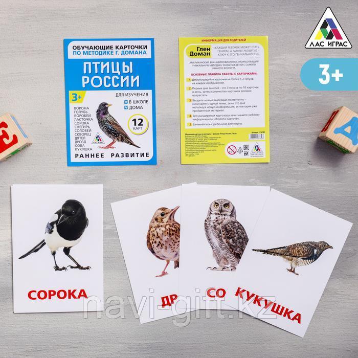 Обучающие карточки по методике Г. Домана «Птицы России», 12 карт, А6 - фото 1 - id-p86421791