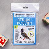 Обучающие карточки по методике Г. Домана «Птицы России», 12 карт, А6, фото 4