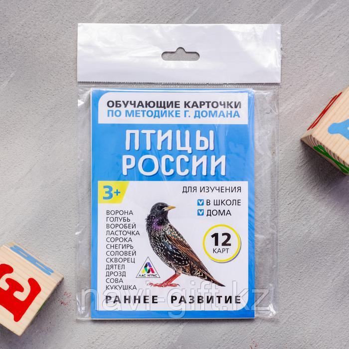 Обучающие карточки по методике Г. Домана «Птицы России», 12 карт, А6 - фото 4 - id-p86421791