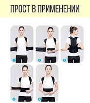 Корректор осанки ортопедический Back Pain Need Help на липучке (S), фото 3