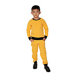 Детский спортивный костюм (тройка) 128см, фото 6