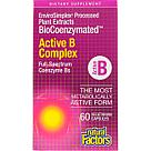 Natural Factors, BioCoenzymated, активный комплекс витаминов B, 60 вегетарианских капсул, фото 3
