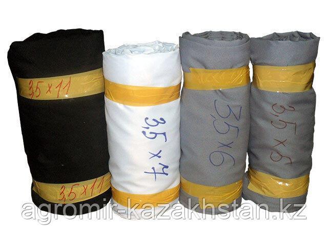 Минет бойынша онлайн чемпионат