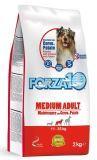Forza10 Medium Maintenance (оленина/картофель) 2кг Корм для взрослых собак средних пород Cervo/Patate