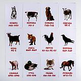 Обучающие карточки по методике Г. Домана «Что говорят животные?», фото 5