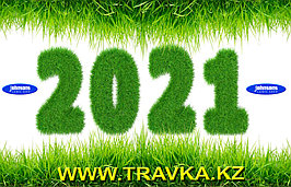 В Новый год с новыми надеждами 1