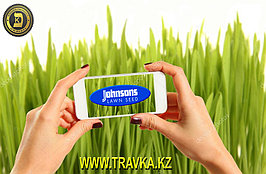 Газон свозь телефон 1