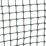 Садовая пластиковая решетка ПРОФИ, рулон 1х20 м, ячейка 33х33 мм, фото 2