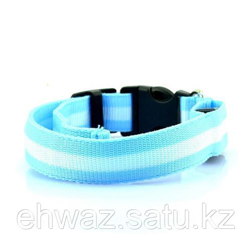 Светодиодный ошейник для собак usb, цвет голубой, размер XS