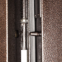 Металлическая дверь ПРАКТИК (мет) 880 L, фото 3