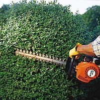 Кусторез STIHL HS 45 (60 см) бензиновый, фото 2
