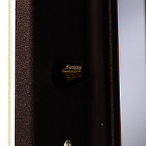 Металлическая дверь ВИНТЕР 100 (Терморазрыв), фото 3