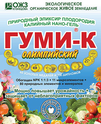 Гуми-К Олимпийский нано-гель 300 гр