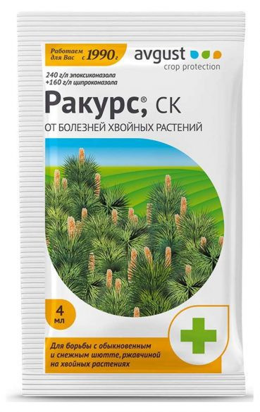 Ракурс 4 мл Август