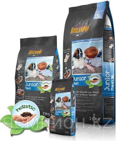 557225 BELCANDO JUNIOR MAXI, Белькандо Джуниор Макси, корм для щенков крупных пород, уп.12.5кг.