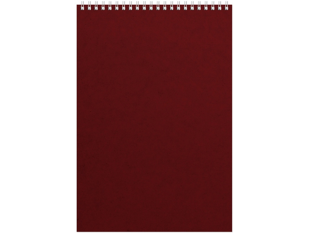 Бизнес - блокнот Альт А4 (198 х 285 мм) Office 60 л., бордовый