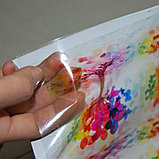 Печать на прозрачной виниловой самоклеющейся пленке 140 гр., фото 2