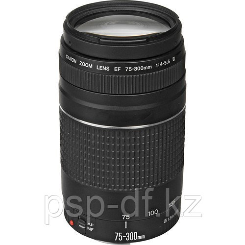 Объектив Canon EF 75-300mm f/4.0-5.6 III - фото 1 - id-p30629355