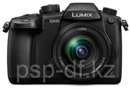 Фотоаппарат Panasonic Lumix DC-GH5 kit 12-60mm f/3.5-5.6 - фото 1 - id-p51859042