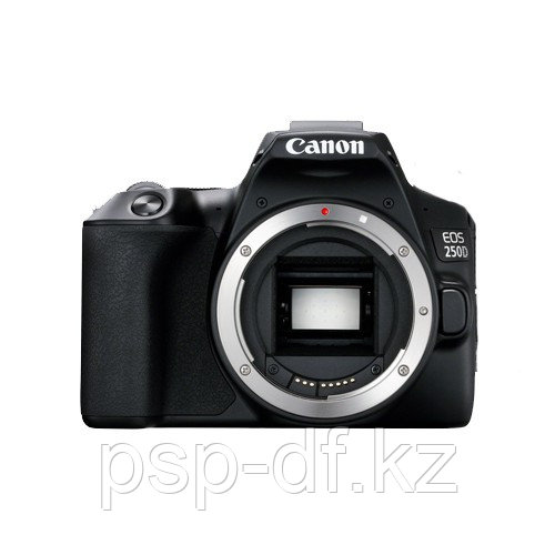 Фотоаппарат Canon EOS 250D Body