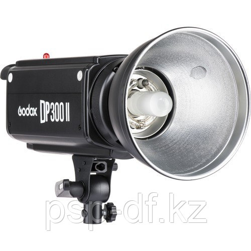 Импульсный свет Godox DP300II