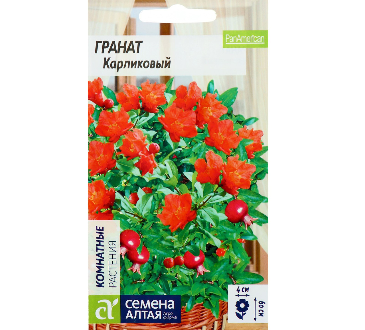 Семена Домашних Цветов Купить
