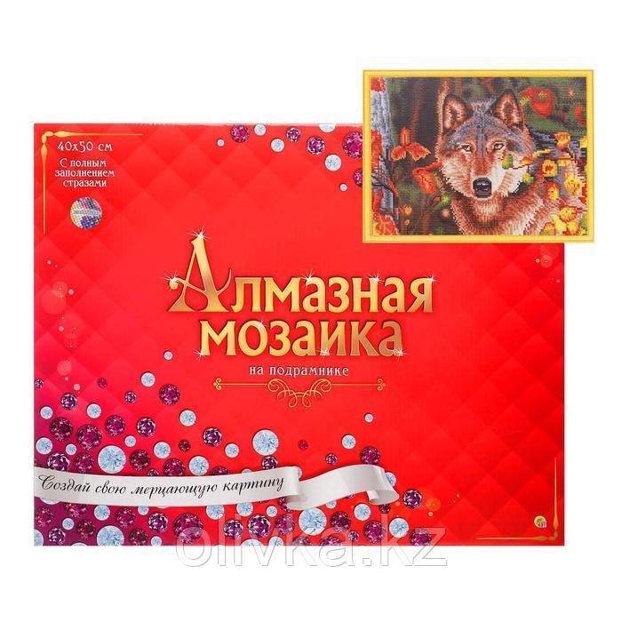 Алмазная мозаика классическая 40х50 см, с подрамником, с полным заполнением, 37цв. «Волк в осеннем лесу»
